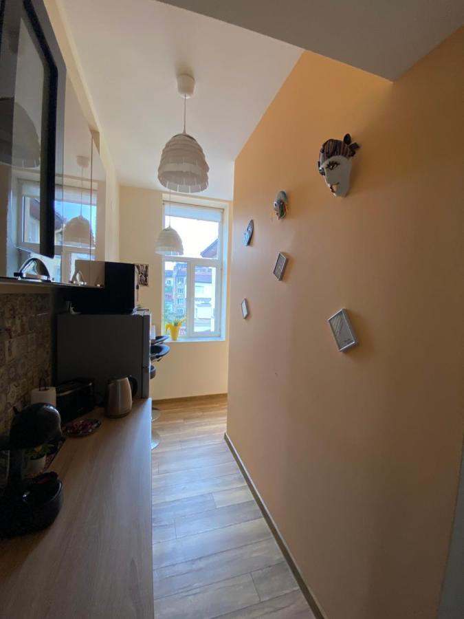 Cozy Apartment In Downtown Sofia - Tsar Samuil Street Kültér fotó