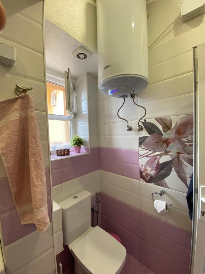 Cozy Apartment In Downtown Sofia - Tsar Samuil Street Kültér fotó